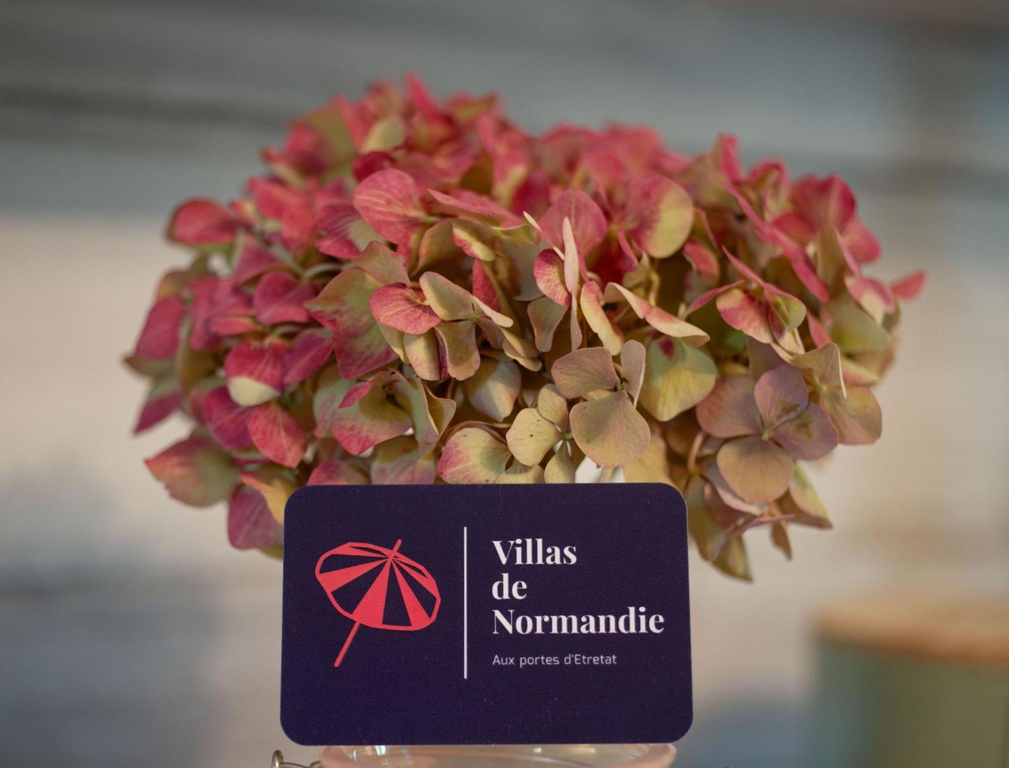 Вилла La Fleur De Sel D'Etretat Bordeaux-Saint-Clair Экстерьер фото